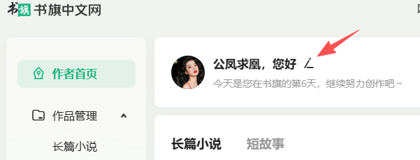 书旗小说可以修改作者笔名-墨铺