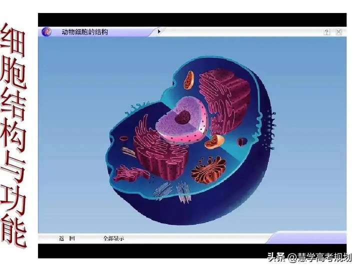 图片[5]-怎么学好高中生物-博云求真