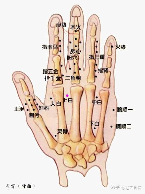 董氏心灵的准确位置图图片