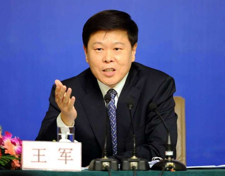 税务局王军