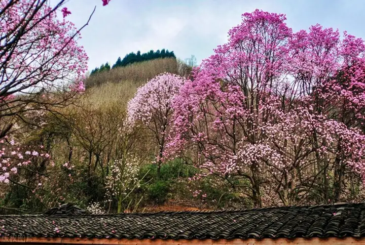 绵阳旅游景点大全排名（绵阳最好玩的地方是哪里）