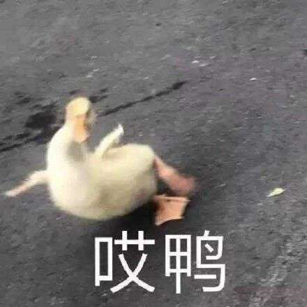 【讨论】有高质量广播剧推荐嘛?已无法自拔…