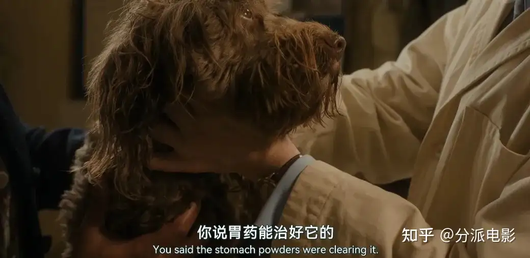 《万物生灵第六季》豆瓣9.4，秋季限定神剧回归！