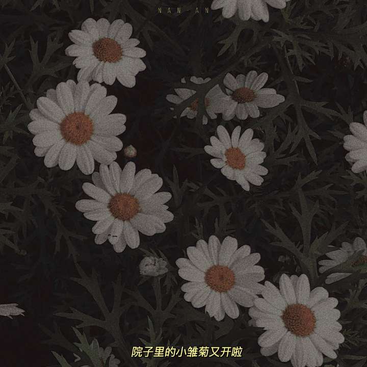 三观很正又非常温柔的优质文案插图3 三观很正又非常温柔的优质文案插图3