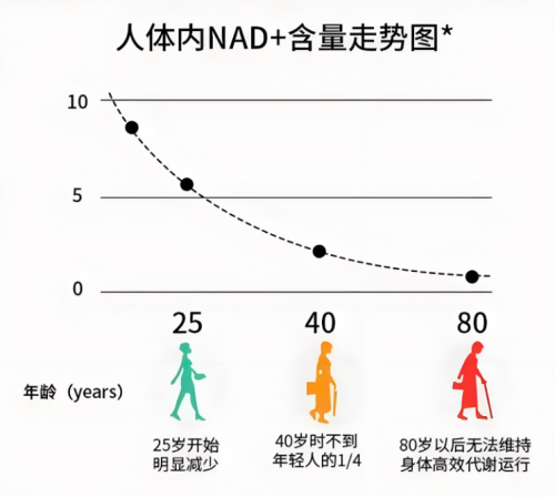 不死神药再现，富豪们的青春买卖 ——现代科技如何实现秦始皇的永生梦？