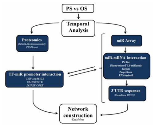 机械敏感型 miR 在内皮细胞对切应力和氧化还原状态响应中的作用 机械敏感型 miR 在内皮细胞对切应力和氧化还原状态响应中的作用