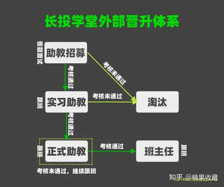 搭建营销实现放量增长这四个方面,带你走完爆款训练营的全流程