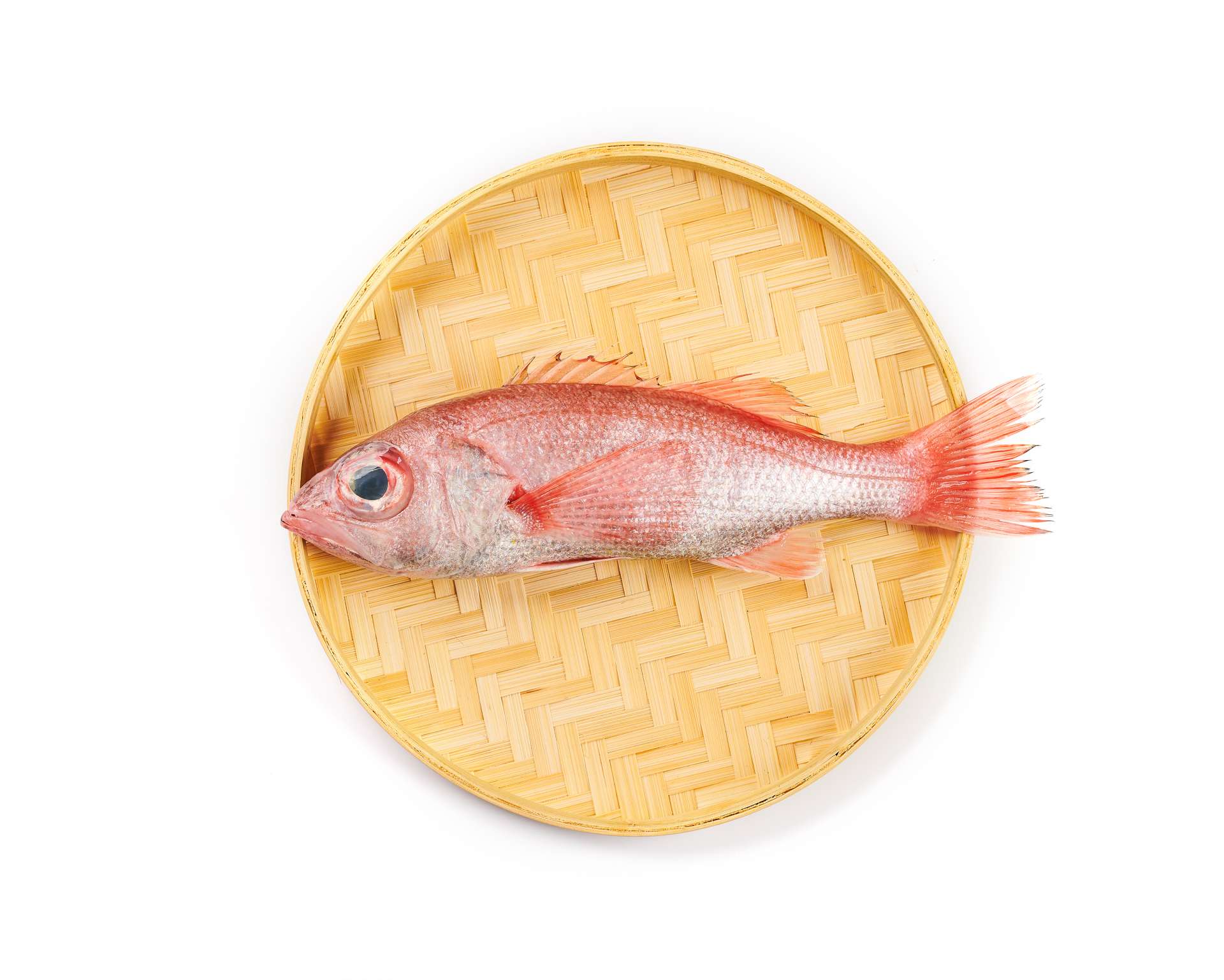 月会刺身料理 的想法: 【喉黑鱼】赤陆 高级红皮鱼 经过略烤后迅