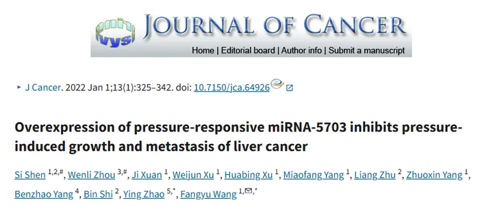 壓力響應(yīng)型 miRNA - 5703 的過(guò)表達(dá)抑制壓力誘導(dǎo)的肝癌生長(zhǎng)和轉(zhuǎn)移