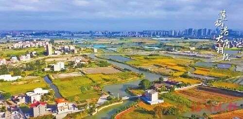 莲柄港水利工程　一渠清流的千年回响
