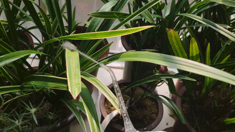 秒秒测便携式智能冲牙器——齿间洁净,一按即可