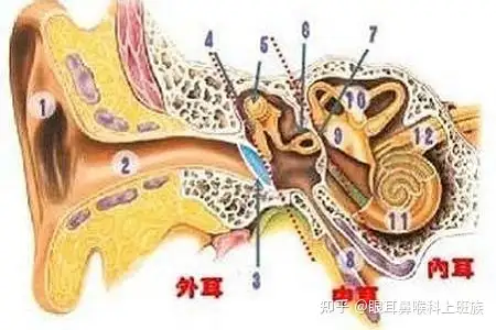 【解析】伊枚炸等奄油特闲题佛柏娇驰蒸何垢硝？(图2)