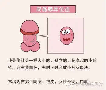 知乎
