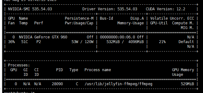 1panel使用docker 安装jellyfin ，并使用独显硬解（小型个人NAS搭建教程（五）