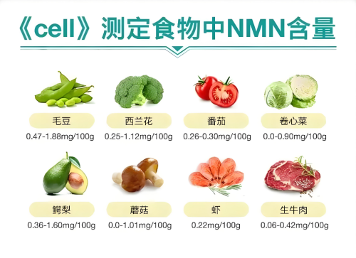 抗衰时代来临：如何通过NMN实现逆龄奇效