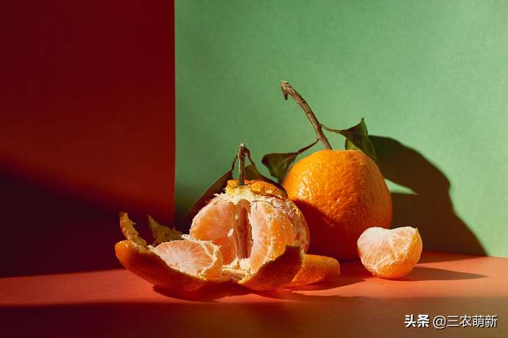 橘生淮南则为橘生于淮北则为枳出自哪篇文章（南橘北枳的寓意是什么）
