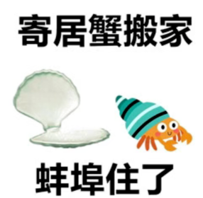 我发现了一个几乎不可能被 AI 替代的工作