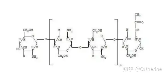 壳聚糖到底是什么？ - 知乎