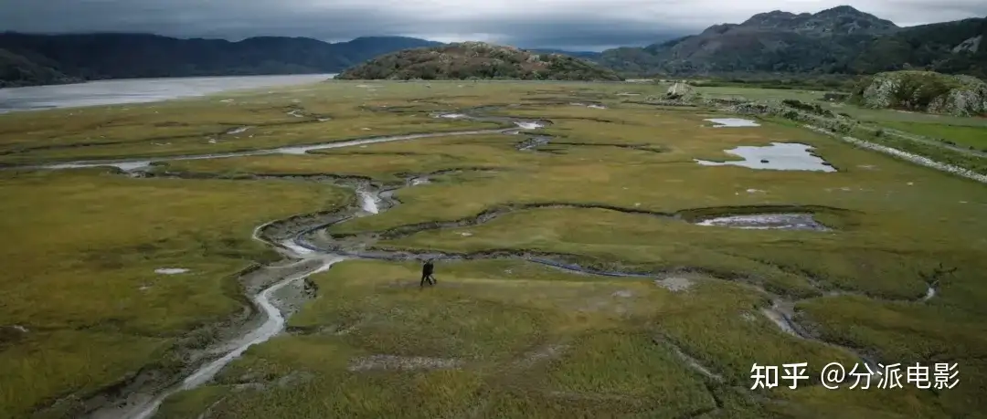 《盐沼之下》悬疑拉满！英式探案剧意外地好看