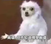 嚯！国产视频模型的物理水准超神了 | 实测MiniMax海螺02