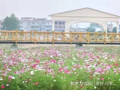 去义乌旅游有哪些攻略?(图7)