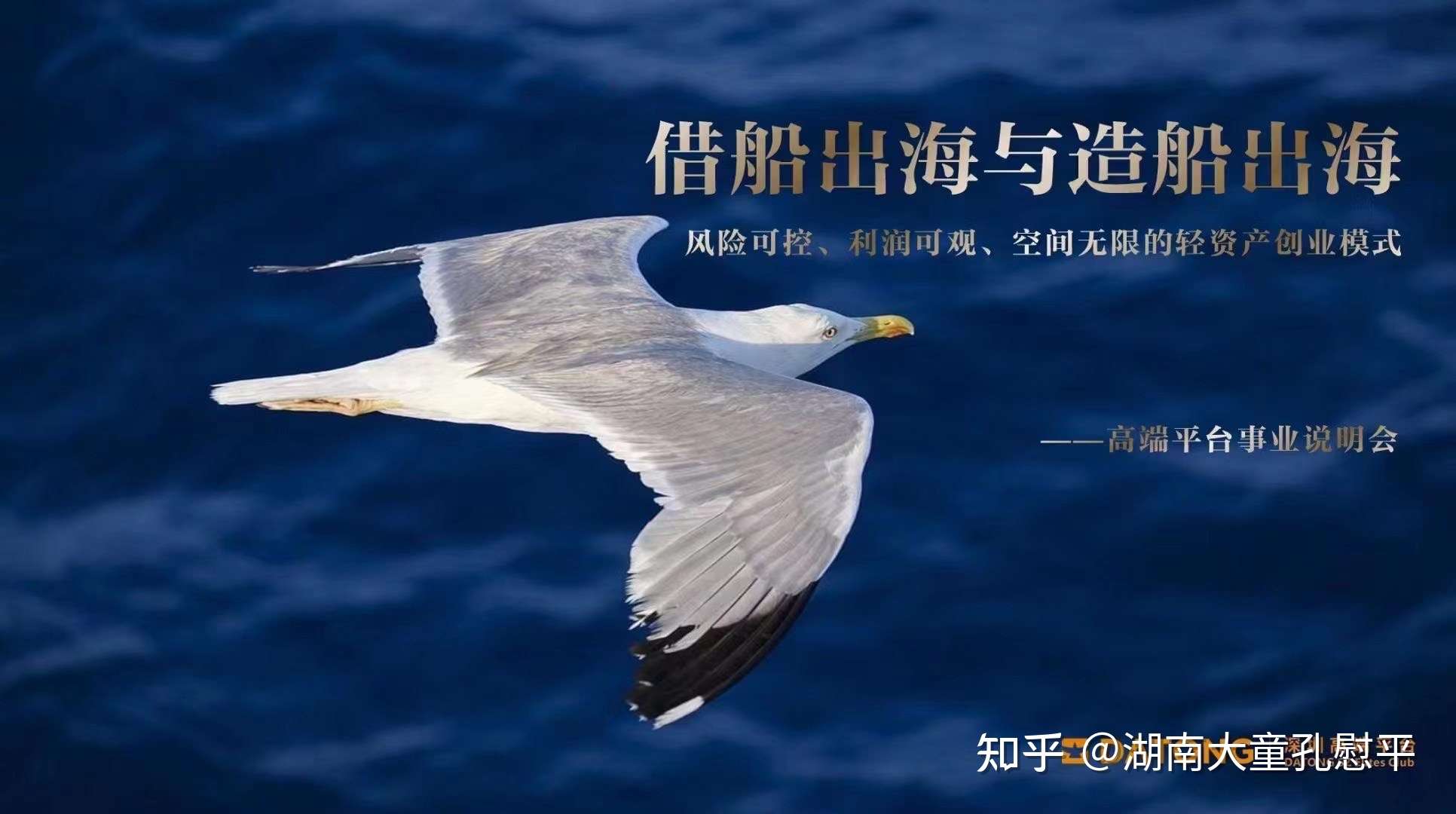 湖南大童保险慰平 的想法: 【借船出海 乘风破浪】 创业路上九死一生