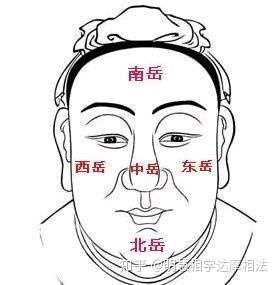 富贵之人天庭饱满好像是真的,我观察过的所有有所成就的人都是这样的.