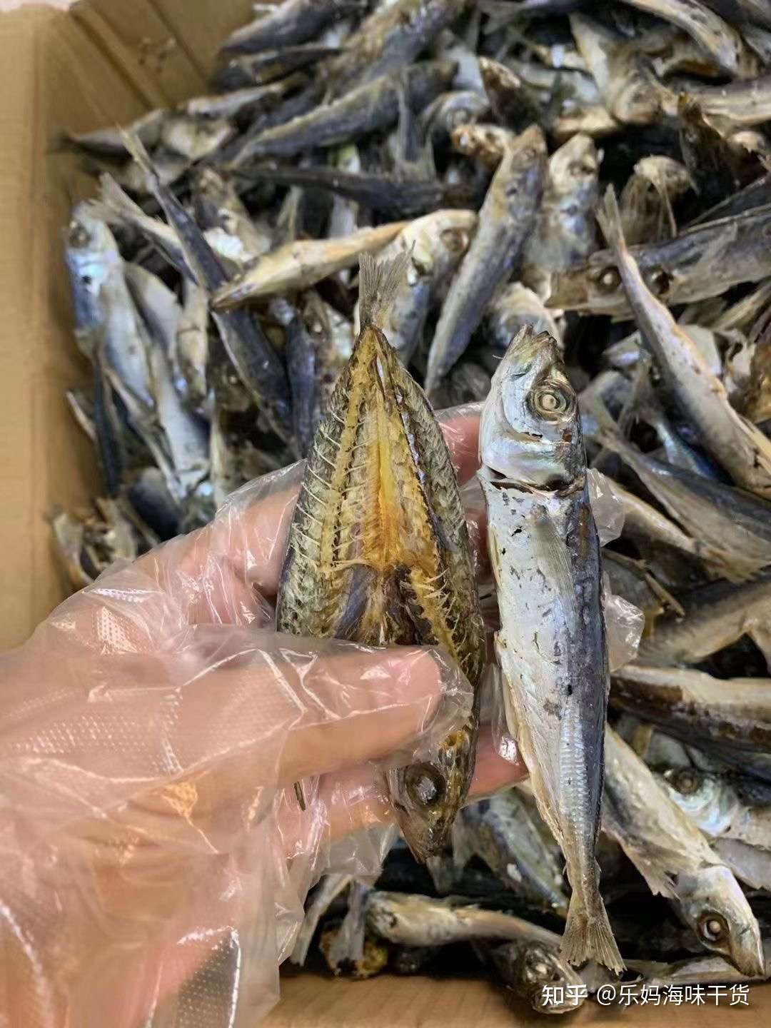 巴浪魚乾氨基酸滿分