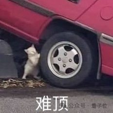 这个AI能救命！提前6个月发现胃癌病灶，突破医学影像认知，达摩院做成了