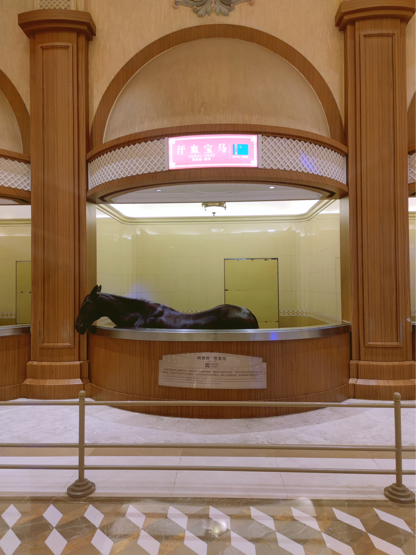 是走非邹的yu 的想法: 夏日飞马水城 | #出门过夏天# #无锡# 在