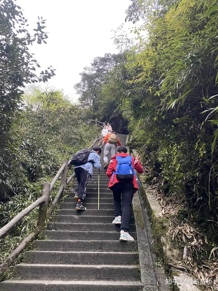 峨眉山非遗申请程序（峨眉山文化遗产艺术馆的玉是真的吗） 第14张