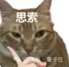 大神卡帕西这么用ChatGPT：日常4o快又稳，烧脑切o4做后盾，o3只当备胎用