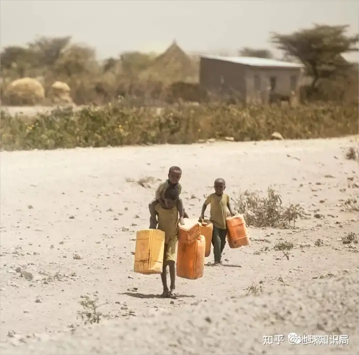 非洲真的缺粮食吗?