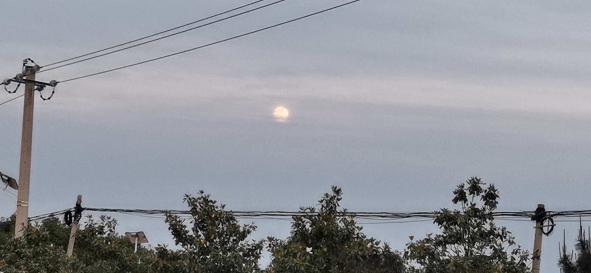 zero好物分享官 的想法: #想法打卡挑战赛 第2期# 迎着朝阳奔跑