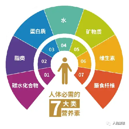 消化的奥秘，让能量更足的方法就这么简单-人的解读