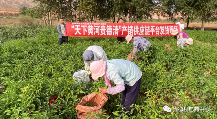 青海省贵德县探索互联网+农牧产业发展新模式