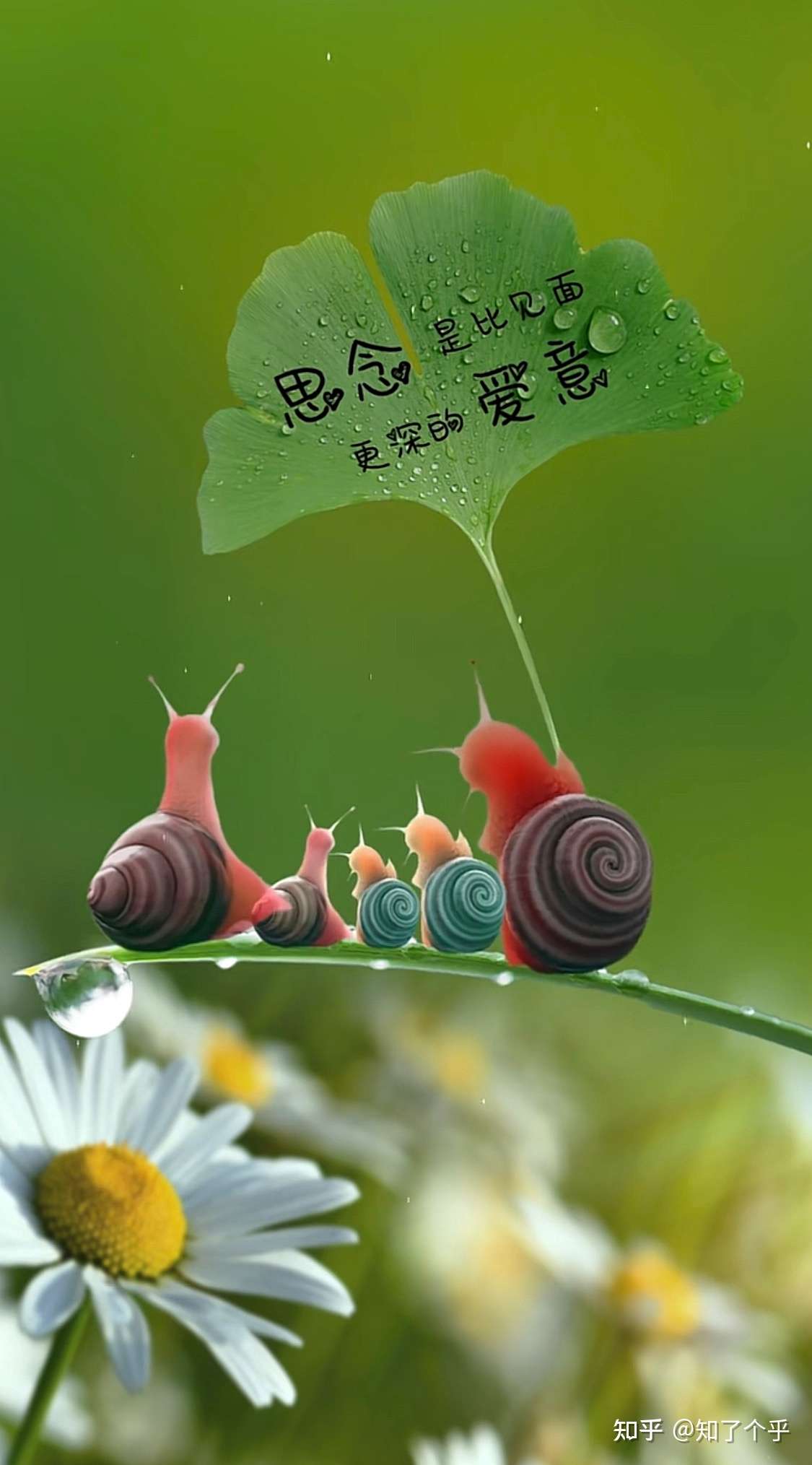 知了个乎 的想法: 思念,是比见面更深的爱意 #思念# #爱意# - 知乎