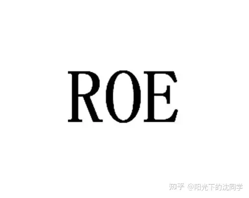 谁能简单通俗的解释一下什么是ROE？