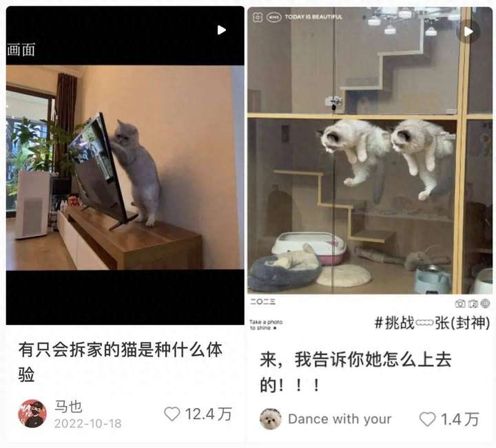 小红书种草怎么操作？小红书种草多少钱一篇