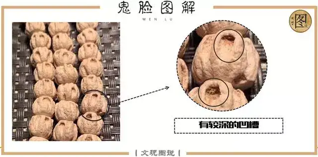 挑选百香籽(柏香籽)有哪些注意事项,如何辨别真伪?-第20张图片-阔酒网 挑选百香籽(柏香籽)有哪些注意事项,如何辨别真伪?-第20张图片-阔酒网