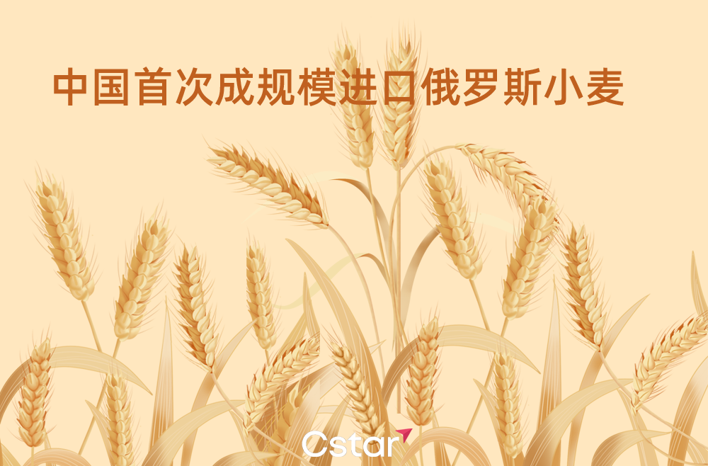 中国首次成规模进口俄罗斯小麦