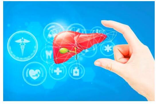 护肝片真的有用吗，保肝护肝，该如何排出肝脏堆积毒素