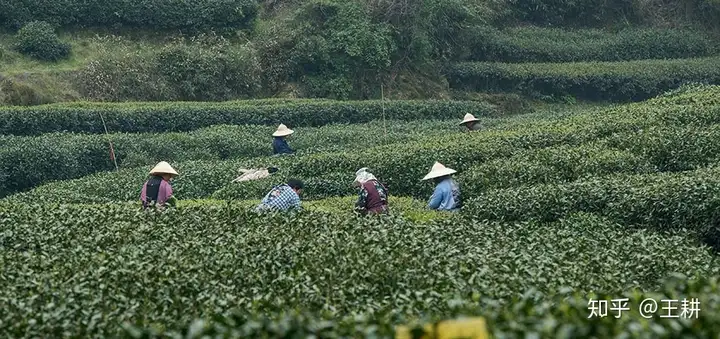 去杭州必去去哪里?