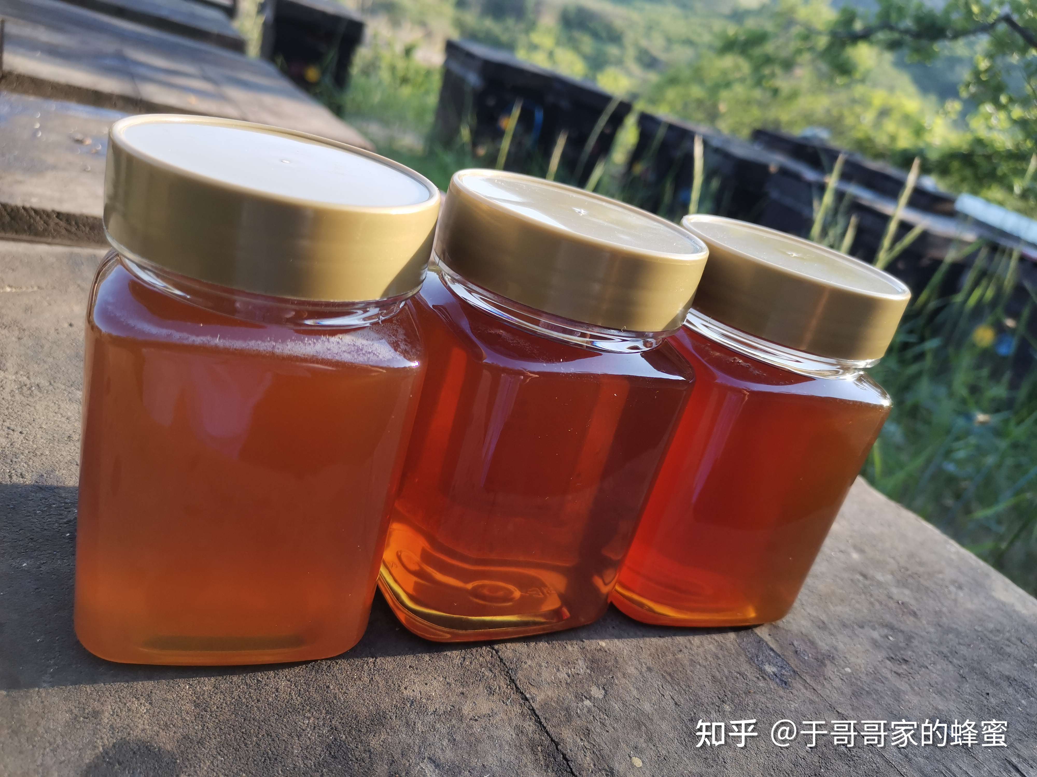 于哥哥家的蜂蜜 的想法: 荔枝蜜 花期:4月 产地:海南陵水 功效