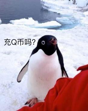 企鹅充q币表情图片