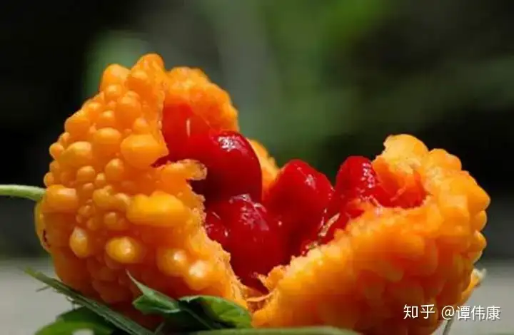 生物为啥不进化成「繁殖前很难吃且厌恶被吃，繁殖后变好吃且希望被吃」的样子，这难道不是最优解吗？