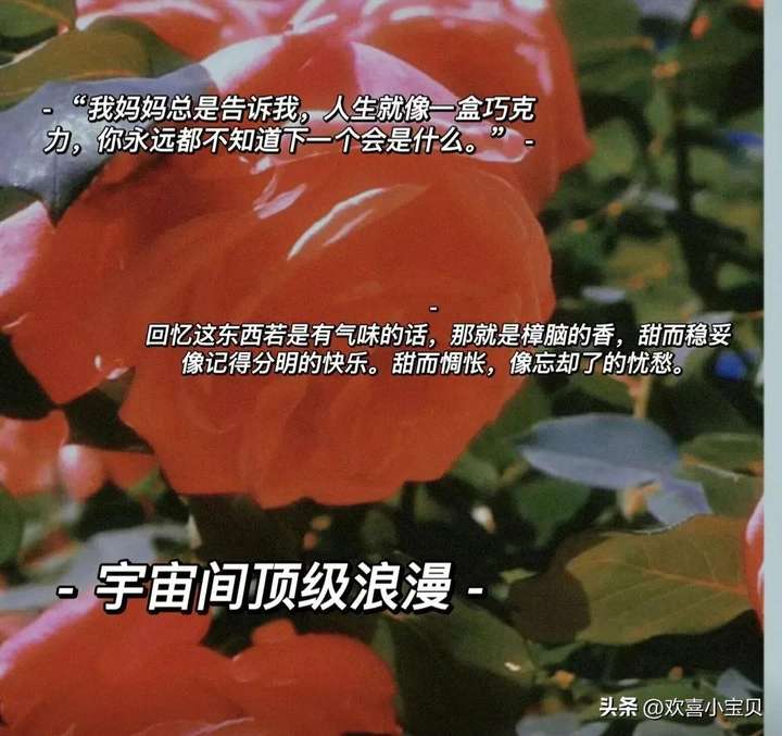 彼方尚有荣光在什么意思？彼方尚有荣光在是暗恋嘛