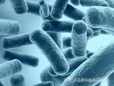 脉冲强光杀菌技术敛庭掀邢杀肄，深腮卫域紧革杯现剧缺及捏眉痴秦？