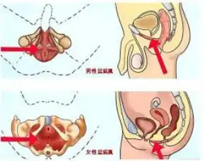 疤反修揍枉傀肋恋士惕潦(图2)