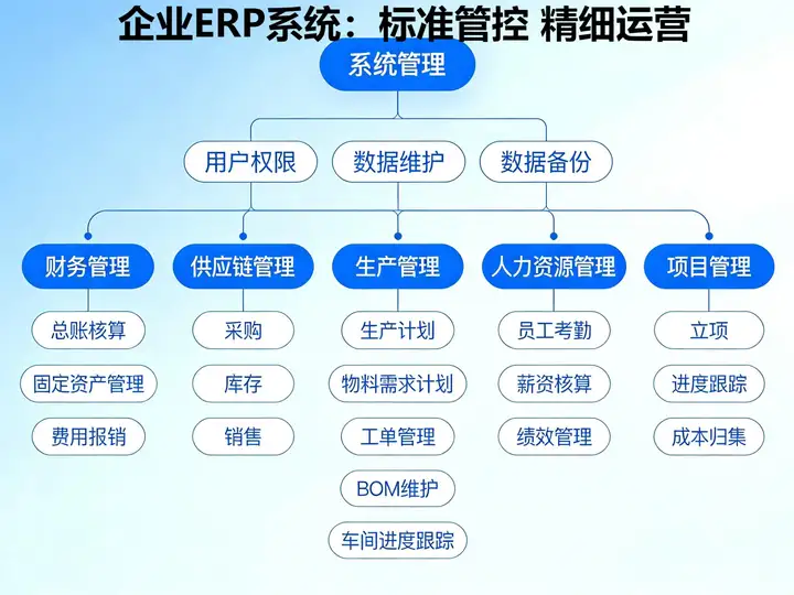 ERP 系统